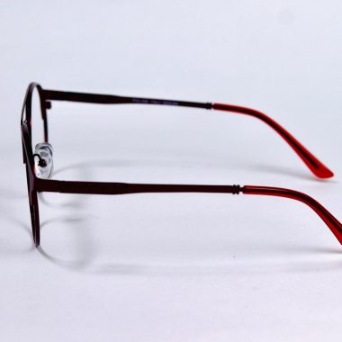 Polige Glasses – 1695 – Screen Glasses